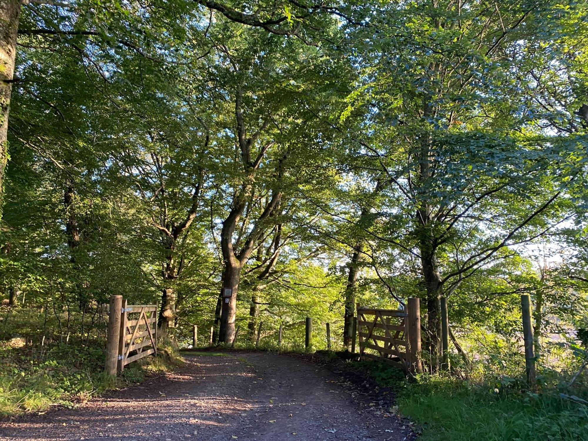Spacious Cottage - Walk To Crieff Eksteriør billede