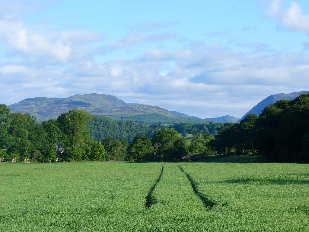 Spacious Cottage - Walk To Crieff Eksteriør billede